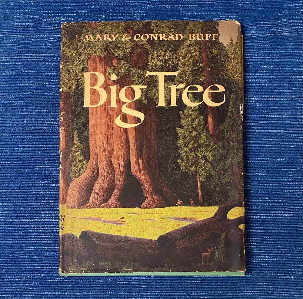 Big Tree Mary & Conrad Buff 1946 First Edition Hardcover Children’s Nature 87B